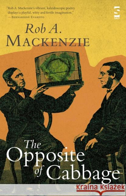 The Opposite of Cabbage Rob A. Mackenzie 9781844717743 Salt Publishing