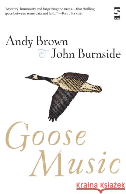 Goose Music Andy Brown, Mr John Burnside 9781844718566 Salt Publishing