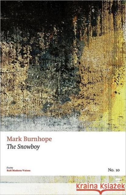 The Snowboy Mark Burnhope 9781844718733 Salt Publishing