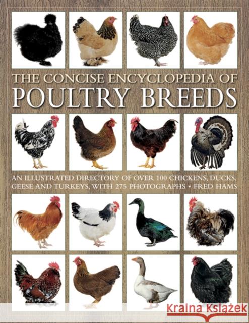 Concise Encyclopedia of Poultry Breeds Fred Hams 9781844760589 Southwater Publishing