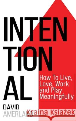 Intentional: How To Live, Love, Work And Play Meaningfully David Amerland 9781844811762 New Line Books