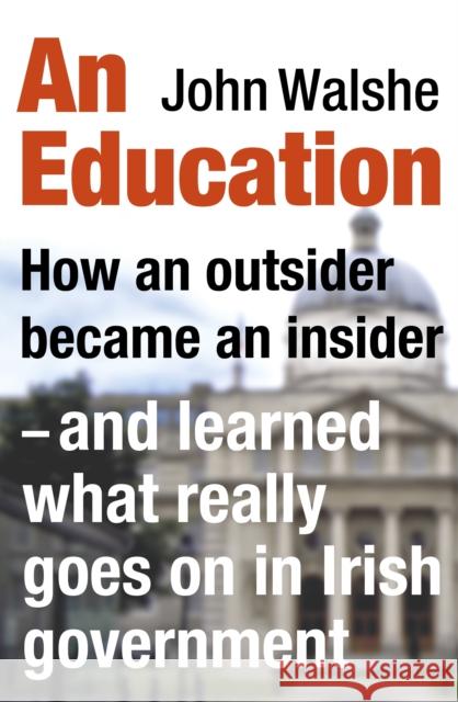An Education: How an outsider became an insider - and learned what really goes on in Irish government John Walshe 9781844883608