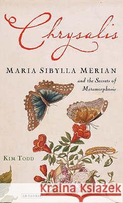 Chrysalis: Maria Sibylla Merian and the Secrets of Metamorphosis Kim Todd 9781845114312