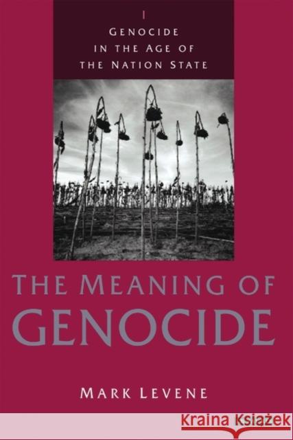 Genocide in the Age of the Nation State: Volume I: The Meaning of Genocide Levene, Mark 9781845117528 0