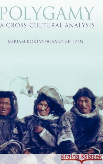 Polygamy: A Cross-Cultural Analysis Zeitzen, Miriam Koktvedgaard 9781845202200 Berg Publishers