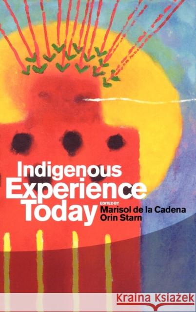 Indigenous Experience Today Orin Starn Marisol D 9781845205188