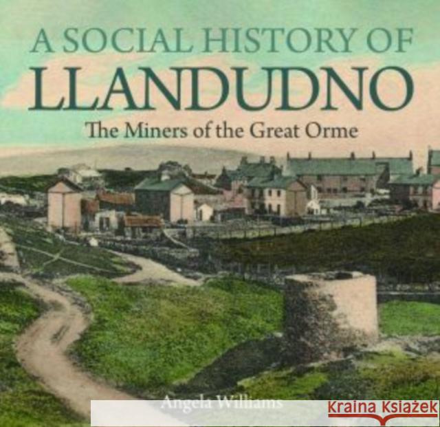 A Social History of Llandudno: The Miners of the Great Orme Angela Williams 9781845246389