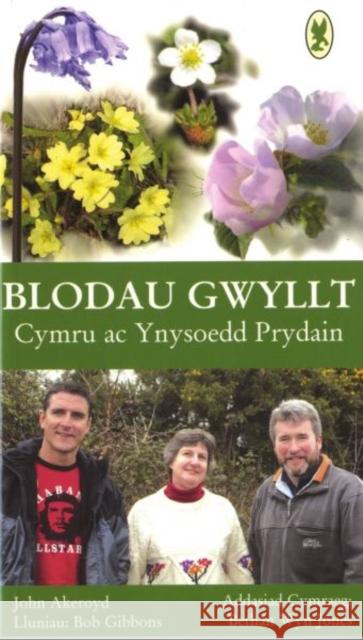 Blodau Gwyllt Cymru ac Ynysoedd Prydain Bethan Wyn Jones 9781845270841 Gwasg Carreg Gwalch