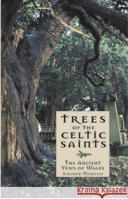 Trees of the Celtic Saints ? The Ancient Yews of Wales Andrew Morton 9781845271732