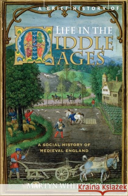 A Brief History of Life in the Middle Ages Martyn Whittock 9781845296858