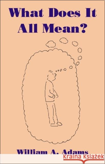 What Does It All Mean?: A Humanistic Account of Human Experience Adams, William A. 9781845400200 Imprint Academic