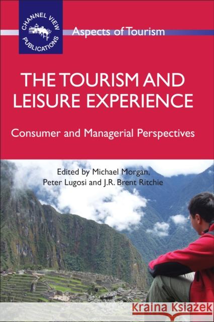 The Tourism and Leisure Experience: Consumer and Managerial Perspectives Morgan, Michael 9781845411497