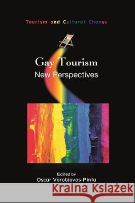 Gay Tourism: New Perspectives Oscar Vorobjovas-Pinta 9781845418427 Channel View Publications