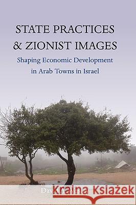 State Practices and Zionist Images D A Wesley 9781845453565 0