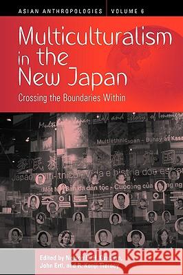 Multiculturalism in the New Japan: Crossing the Boundaries Within Graburn, Nelson H. 9781845457815