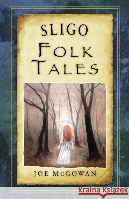 Sligo Folk Tales Joe McGowan 9781845888367