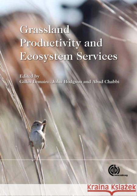 Grassland Productivity and Ecosystem Services Gilles Lemaire John Hodgson Abad Chabbi 9781845938093 CABI Publishing