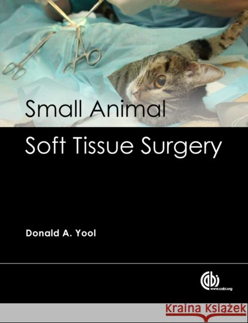 Small Animal Soft Tissue Surgery D. Yool 9781845938215