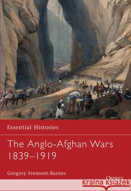 The Anglo-Afghan Wars 1839-1919 Fremont-Barnes, Gregory 9781846034466 0