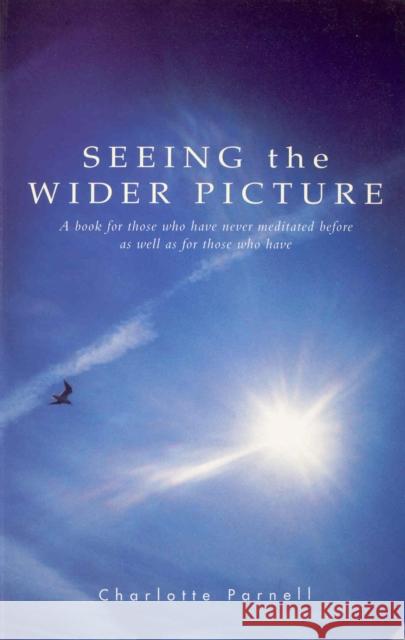 Seeing The Wider Picture Charlotte Parnell 9781846042355