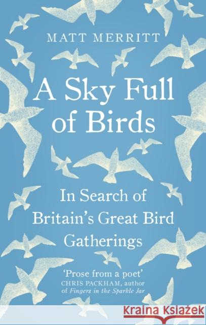 A Sky Full of Birds Merritt, Matt 9781846044809 Ebury Publishing