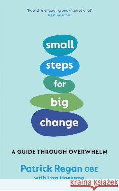 Small Steps for Big Change Patrick Regan 9781846048944