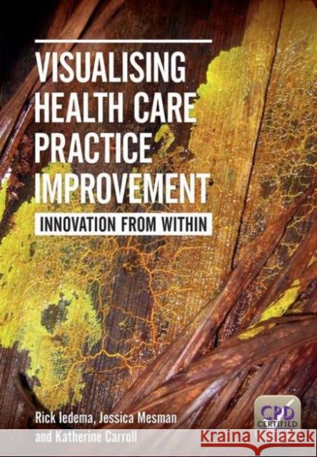 Visualising Health Care Practice Improvement: Innovation from Within Iedema, Rick 9781846194504
