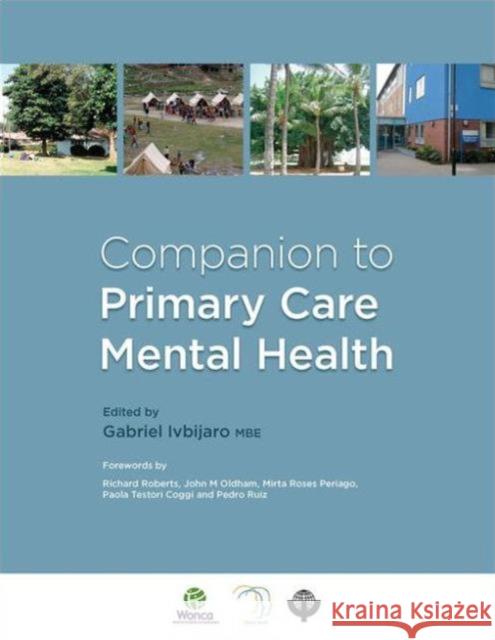 Companion to Primary Care Mental Health Gabriel Ivbijaro 9781846199769 Radcliffe Medical PR