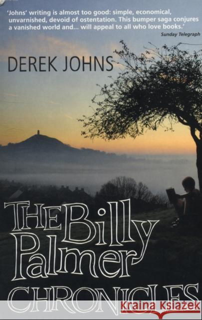 The Billy Palmer Chronicles Derek Johns 9781846272141