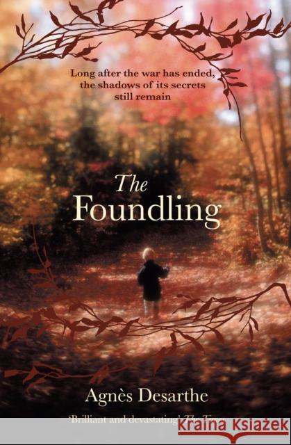 The Foundling Agnes Desarthe 9781846274121 0