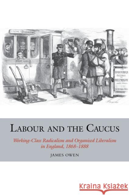 Labour and the Caucus: Working-Class Radicalism and Organised Liberalism in England, 1868-1888 Owen, James 9781846319440