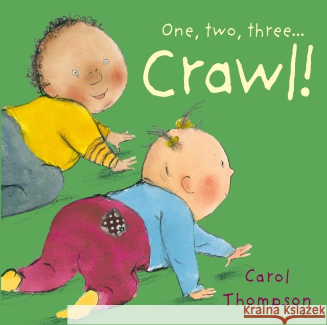 Crawl! Carol Thompson 9781846436147 0