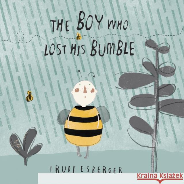 The Boy who lost his Bumble Trudi Esberger 9781846436611 Child's Play International Ltd