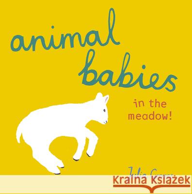 Animal Babies in the Meadow! Julia Groves 9781846438790