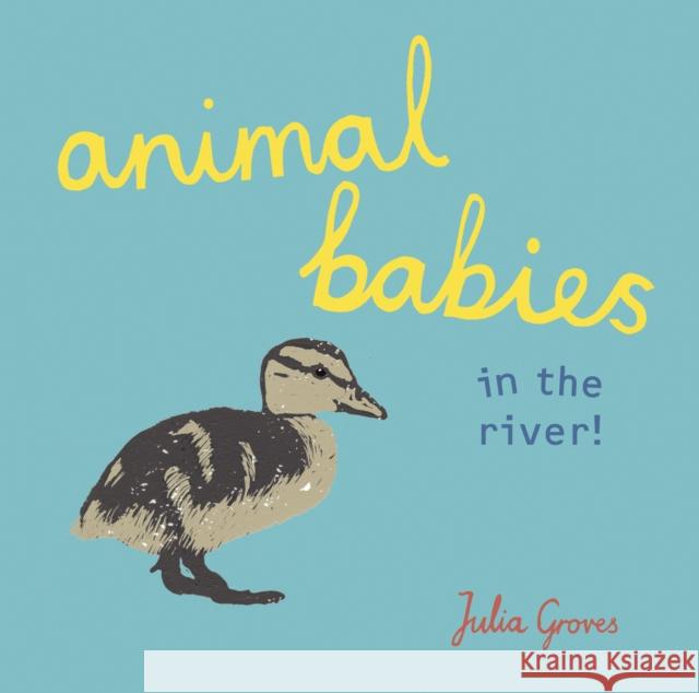 Animal Babies in the river!  9781846438806 Child's Play International Ltd