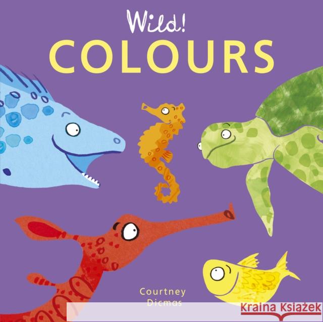 Colours Courtney Dicmas 9781846439957 Child's Play International