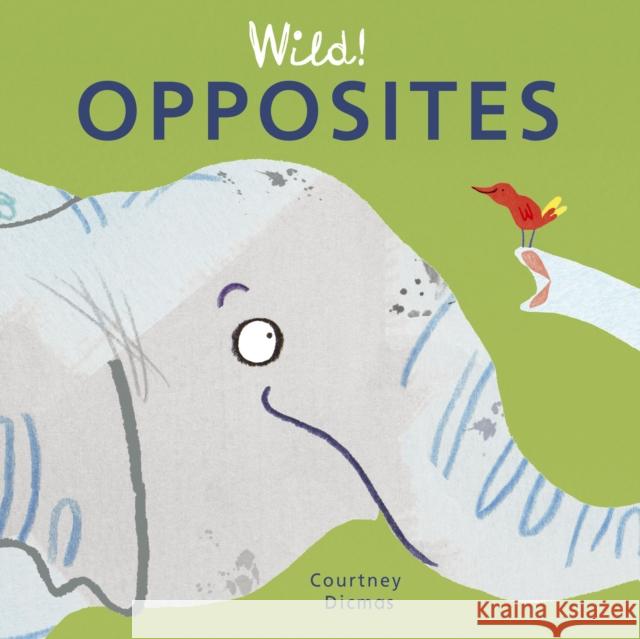 Opposites Courtney Dicmas Courtney Dicmas 9781846439971 Child's Play International