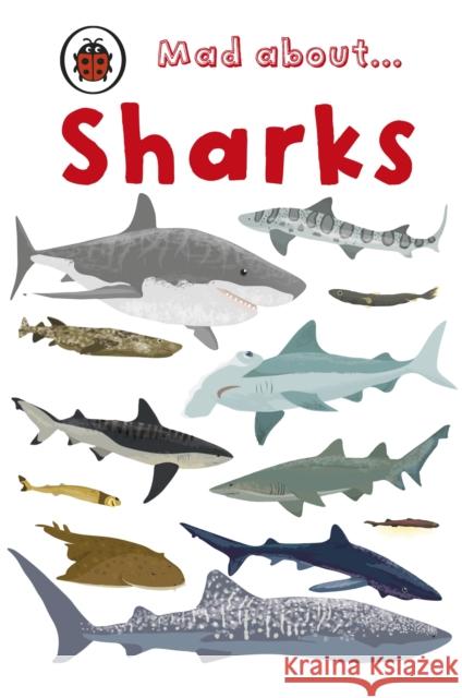 Mad About Sharks Ladybird 9781846467981 Penguin Random House Children's UK