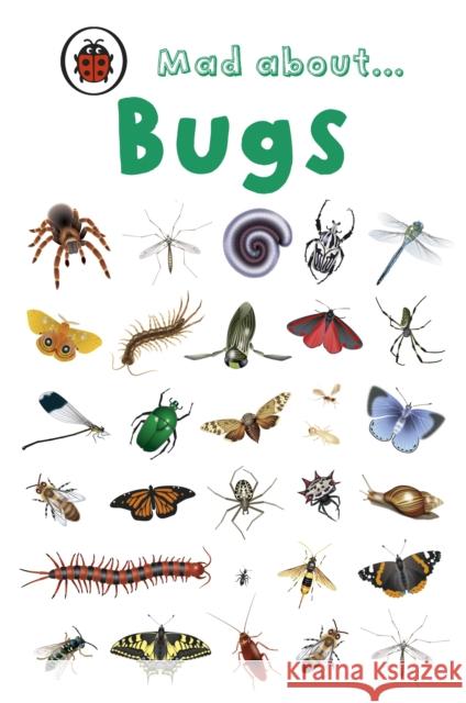 Mad About Bugs   9781846468018 Penguin Random House Children's UK