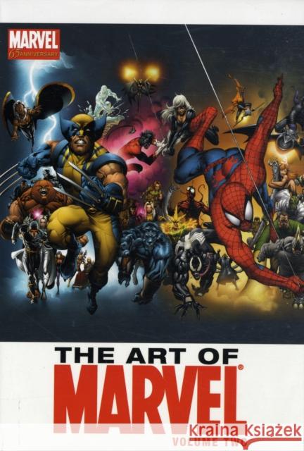 The Art of Marvel Vol.2  9781846534218 Panini Publishing Ltd