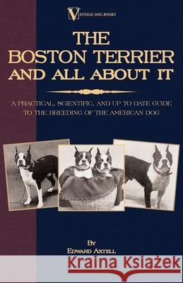 The Boston Terrier and All about It: A Practical, Scientific, and Up to Date Guide to the Breeding of the American Dog Axtell, Edward 9781846640629 Vintage Dog Books