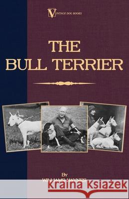 The Bull Terrier Haynes, Williams 9781846640834 Vintage Dog Books
