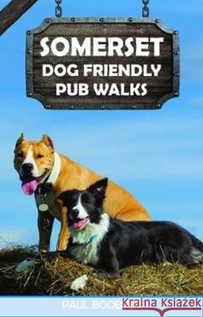 Somerset Dog Friendly Pub Walks: 20 Dog Walks Paul Boobyer 9781846743849 Countryside Books