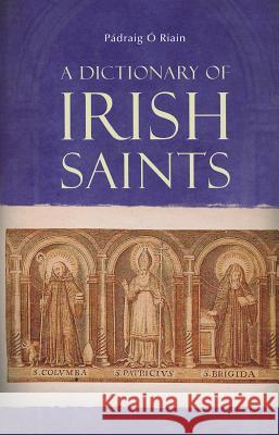 A Dictionary of Irish Saints Padraig O'Riain   9781846823183 Four Courts Press Ltd