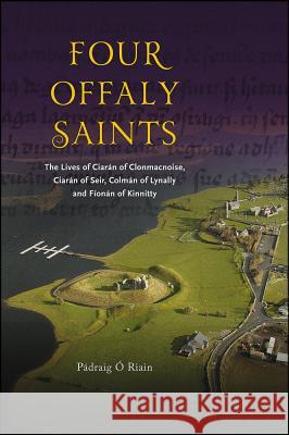 Four Offaly Saints: The Lives of Ciaran of Clonmacnoise, Ciaran of Seir, Colman of Lynally and Fionan of Kinnitty Padraig O 9781846827044 Four Courts Press