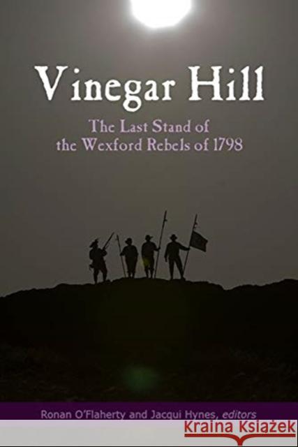 Vinegar Hill: The Last Stand of the Wexford Rebels of 1798 O'Flaherty, Ronan 9781846829628 Four Courts Press Ltd