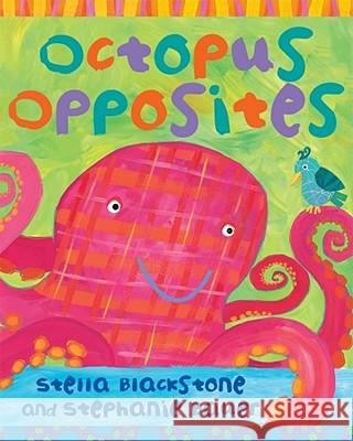 Octopus Opposites Stella Blackstone 9781846865916 0