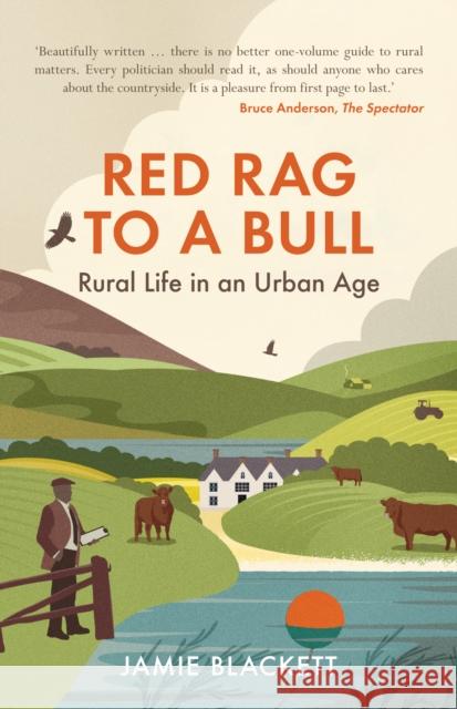 Red Rag To A Bull: Rural Life in an Urban Age Jamie Blackett 9781846893902 Quiller Publishing Ltd