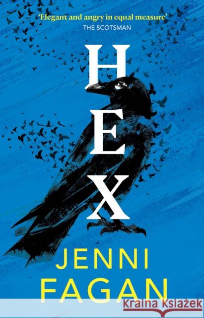 Hex: Darkland Tales Jenni Fagan 9781846976223