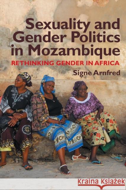 Sexuality and Gender Politics in Mozambique: Re-Thinking Gender in Africa Arnfred, Signe 9781847010872 James Currey